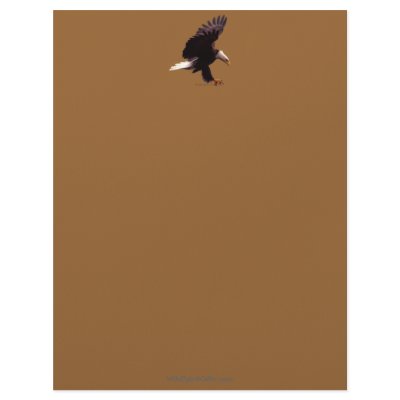 AMERICAN BALD EAGLE Letterhead Design by RavenSpiritPrints