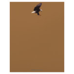 AMERICAN BALD EAGLE Letterhead Design