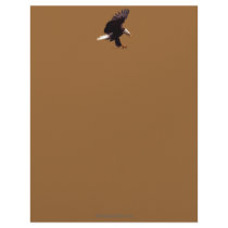 AMERICAN BALD EAGLE Letterhead Design