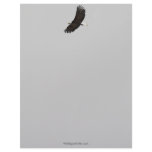 AMERICAN BALD EAGLE Letterhead Design