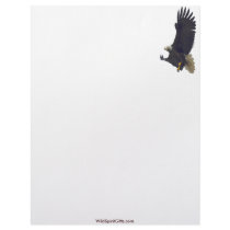 AMERICAN BALD EAGLE Letterhead Design