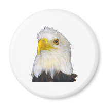 American Bald Eagle magnets
