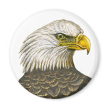 American Bald Eagle Refrigerator Magnets