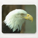 American Bald Eagle Mousepad