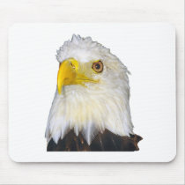 American Bald Eagle mousepads