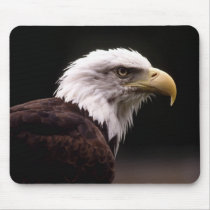 American Bald Eagle mousepads by mickeyelvis128 American Bald Eagle mousepads