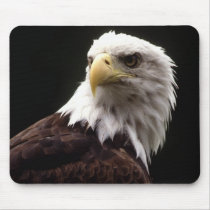 American Bald Eagle mousepads by mickeyelvis128 American Bald Eagle mousepads