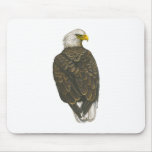 American Bald Eagle Mouse Pads