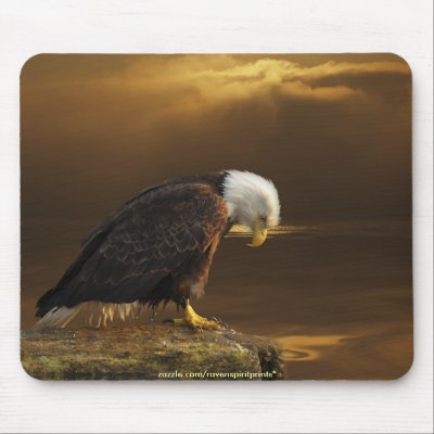 AMERICAN BALD EAGLE Mousepad series by RavenSpiritPrints