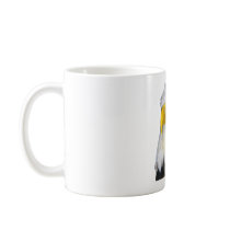 American Bald Eagle mugs