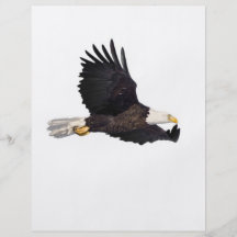American Bald eagle Personalized Flyer