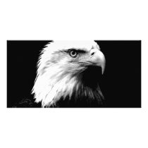 American Bald Eagle Personalized Photo Card