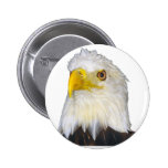 American Bald Eagle Pin