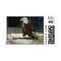 American Bald Eagle postage