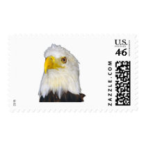 American Bald Eagle stamps