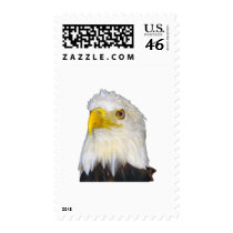 American Bald Eagle stamps