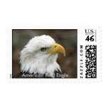 American Bald Eagle Postage Stamp