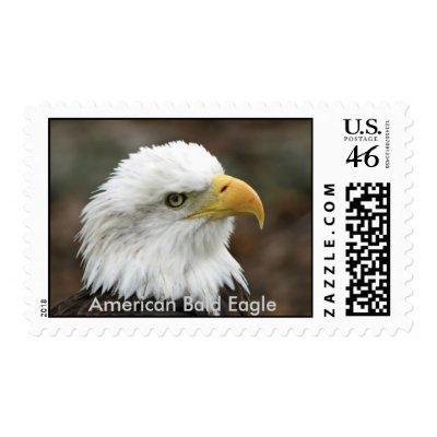 American Bald Eagle Postage Stamp by agoraphoto