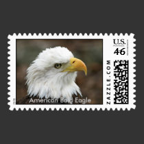 American Bald Eagle postage