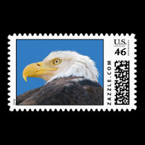 American Bald Eagle Postage stamps