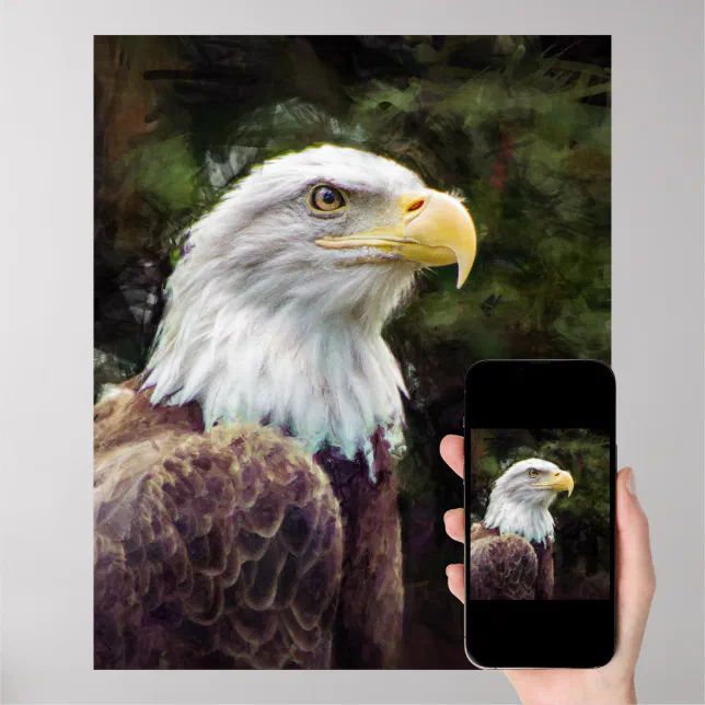 American Bald Eagle Poster Zazzle