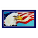 American Bald Eagle posters by pawtraitart American Bald Eagle posters