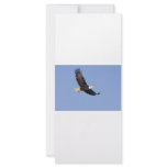 American Bald Eagle Custom Rack Cards