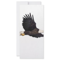 American Bald eagle Rack Card