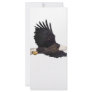 American Bald eagle Rack Card