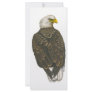 American Bald Eagle Full Color Rack Card