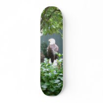 American Bald Eagle skateboards by shielarb American Bald Eagle skateboards