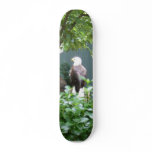 American Bald Eagle Skate Boards