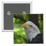 American Bald Eagle Square Pin