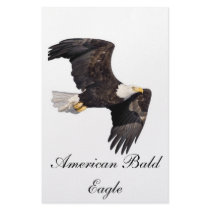 American bald Eagle Stationery Design