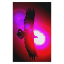 American Bald Eagle stationery