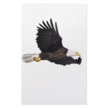 American Bald eagle Stationery Design