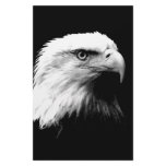 American Bald Eagle Stationery