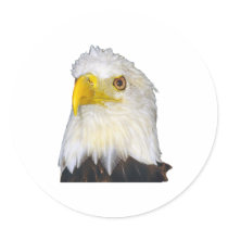 American Bald Eagle stickers