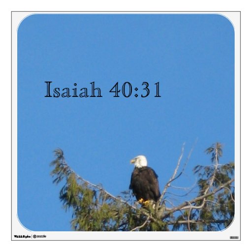 American Bald Eagle Wall Decal | Zazzle