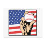 American Baseball