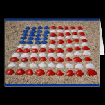 American Beach SeaShells cards