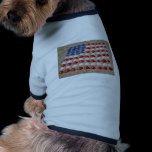 American Beach SeaShells pet clothing