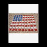 American Beach SeaShells postcards