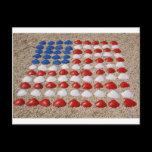 American Beach SeaShells postcards