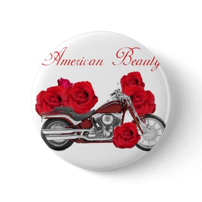 american beauty pinback buttons by nhmystix