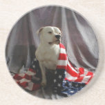 american-beauty-flag-dog-31000.jpg drink coaster