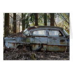 American Beauty in Decay Card