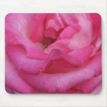 American Beauty mousepads