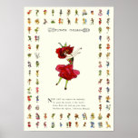 American Beauty Rose Poster