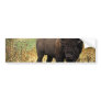 American Bison Bumper Sticker